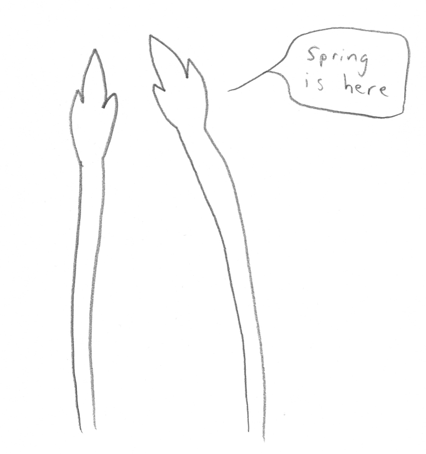 spring-is-here_13886685711_o.jpg